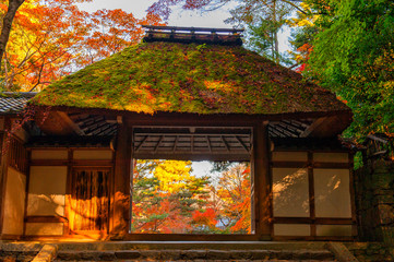 autumn in Kyoto  temple gate