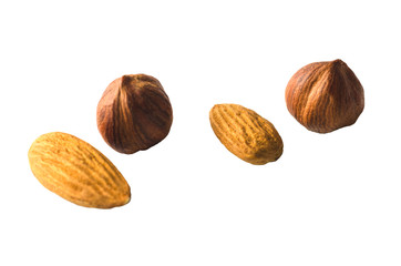 Hazelnut nuts and almond on white background