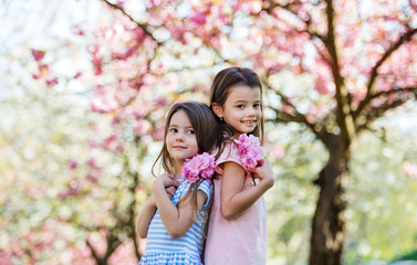 Fototapeta premium Two small girls standing outside in spring nature, looking at camera.