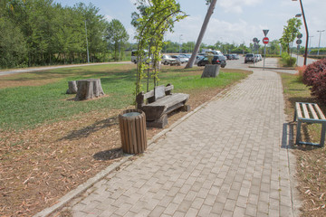 Scenic View of a Pathway and Wooden Bench in a Beautiful Leafy Landscape Garden