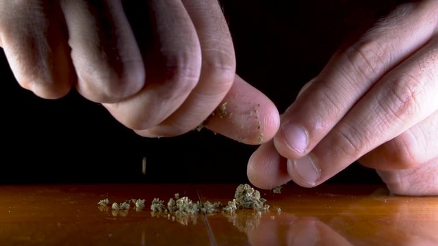 Slowmotion video of the hands of a man preparing CBD weed before rolling a cigarette