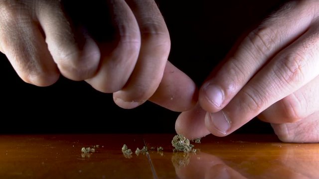 Slowmotion video of the hands of a man preparing CBD weed before rolling a cigarette