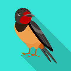 Isolated object of bird and nightingale logo. Set of bird and small stock vector illustration.