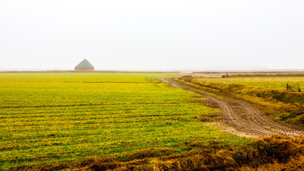 Autumnal landscape. Autumn fields in the morning mist. Texel Island, Netherlands