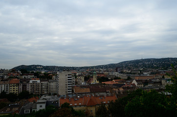 Fototapeta premium panoramic view of the city