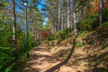 Autumn landscape: health path in the Resort Park, people on a walk