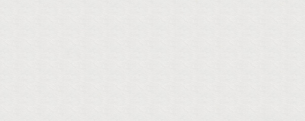 long white pound paper texture canvas vector