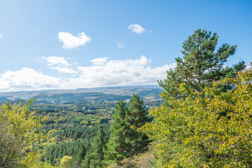 Trees on a cliff in the mountains, view from the Resort Park to the city of Kislovodsk