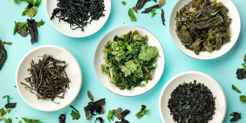 A panorama of various dry seaweed, sea vegetables, shot from the top on a teal blue background