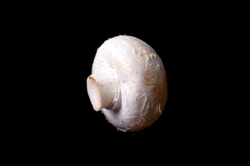 fresh champignon mushroom on a black background