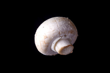 fresh champignon mushroom on a black background