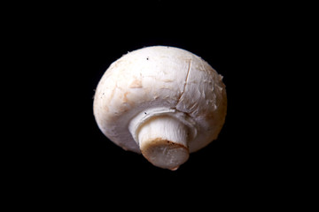 fresh champignon mushroom on a black background