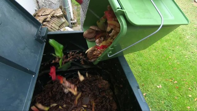 female emptying bucketful of kitchen waste to the compost bin
