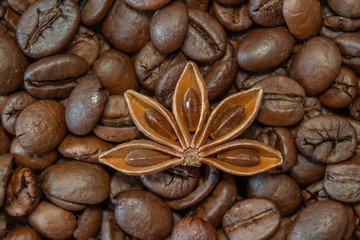 Coffee beans with half star anise macro