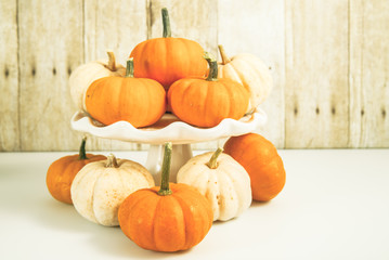 Horizontal Mini pumpkins on wood