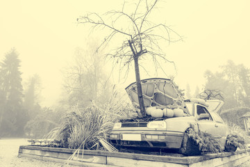 Many pumpings and plants invading old car outdoor.