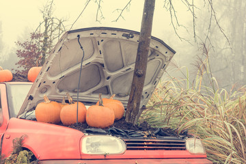 Many pumpings and plants invading old car outdoor.