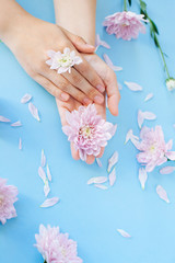 Close up photo of female hands with pink  flowers on light blue background.