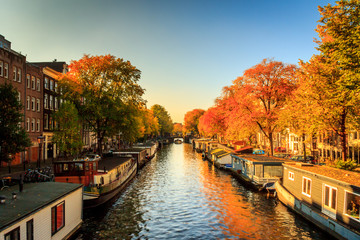 canal in amsterdam - obrazy, fototapety, plakaty