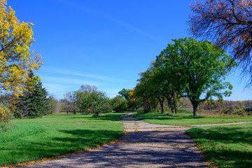 Pathway in a park