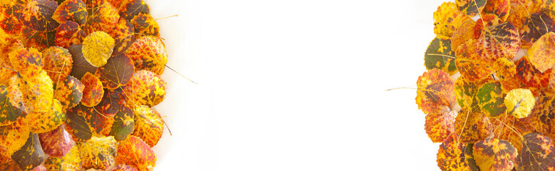 autumn long background with orange, red, yellow, green leaves