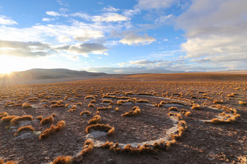 Breathtaking Bolivian Scenery - Deserts, salt flats, sunrise, sunset, vicuna, llama, lama, cactus, snow, lakes, flamingos 