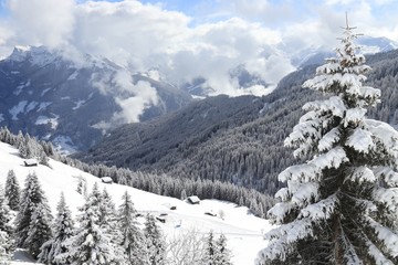 Zillertal mountains, Austria