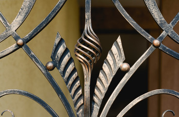 metal forged elements of the fence. decorating