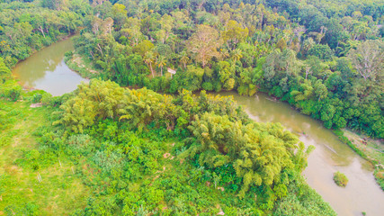 Fototapeta na wymiar Curve of river in green tropical rain forest