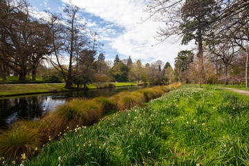 Christchurch Botanic Gardens in New Zealand