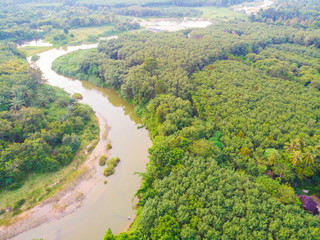 Curve of river in green tropical rain forest