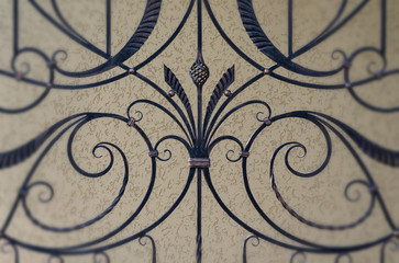 Metal fence with decorative wrought iron elements
