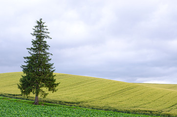 Stand alone Chrismas tree