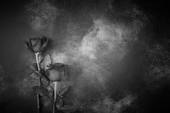 Roses lie on a textured background. Space for your text. Black and white image