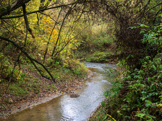 Autumn, Park, trees, stream, slope.
