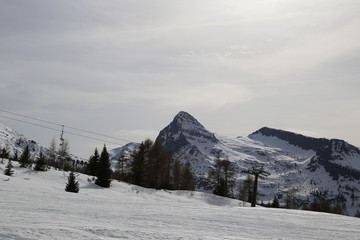 Passo  Rolle  - Dolomiti  - fine inverno  2016