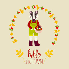 Vector illustration for  posters, greeting cards, t-shirt and prints. Badger has a basket from the forest with berries, cones, mushrooms. Autumn composition with yellow autumn leaves. Hello autumn
