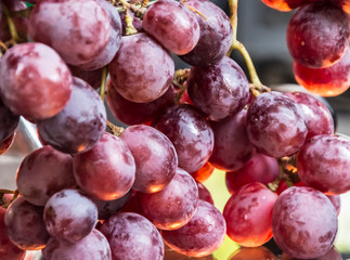 Red Grape Clusters