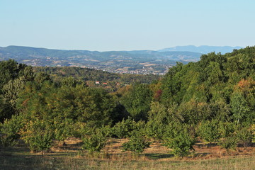 Sunny landscape of Serbian countryside.