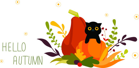 Greeting card with text Hello Autumn. Vector illustration with a black cat on a pumpkin. Harvest of pumpkins stands on autumn leaves and branches. Black cat on a pumpkin on a white background.