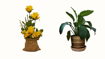 Yellow roses made of plastic and green leaves in a clay pot with a white background.
