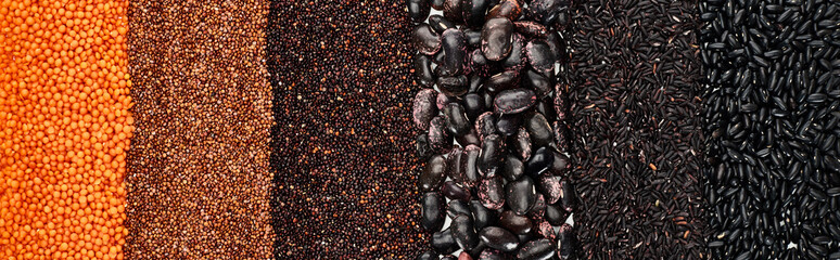 panoramic shot of assorted black beans, rice, quinoa, red lentil and roasted buckwheat