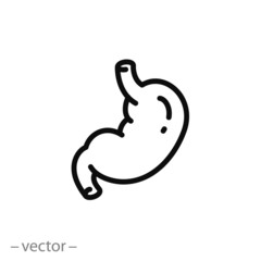 stomach icon, healthy digestive tract, gut, thin line symbol on white background - editable stroke vector illustration eps 10