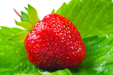 Red strawberries close up on leaves