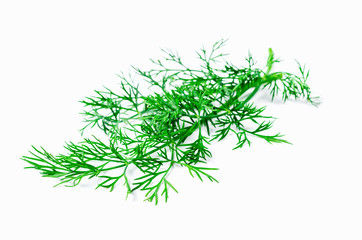 Closeup of dill on white background