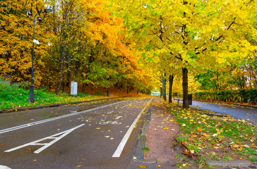 Naklejka premium Vorobyovy Gory