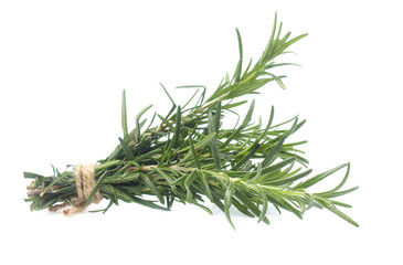 rosemary isolated on white background