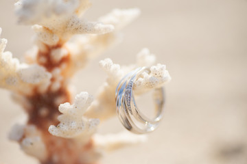 Fototapeta na wymiar サンゴと指輪