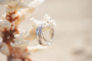 サンゴと指輪