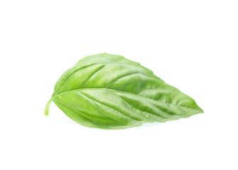 Close up green basil herb leaves isolated on white background.
